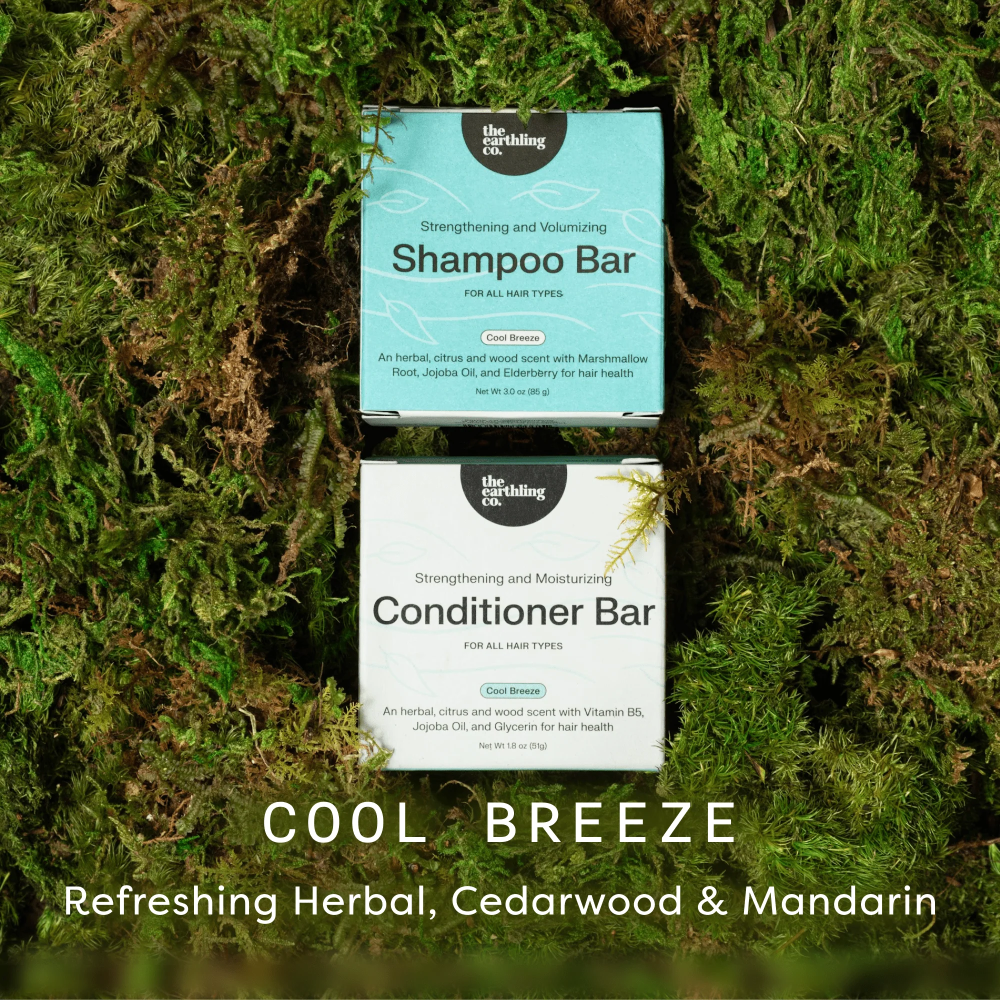 Shampoo and Conditioner for Thickness & Volume - Image 17