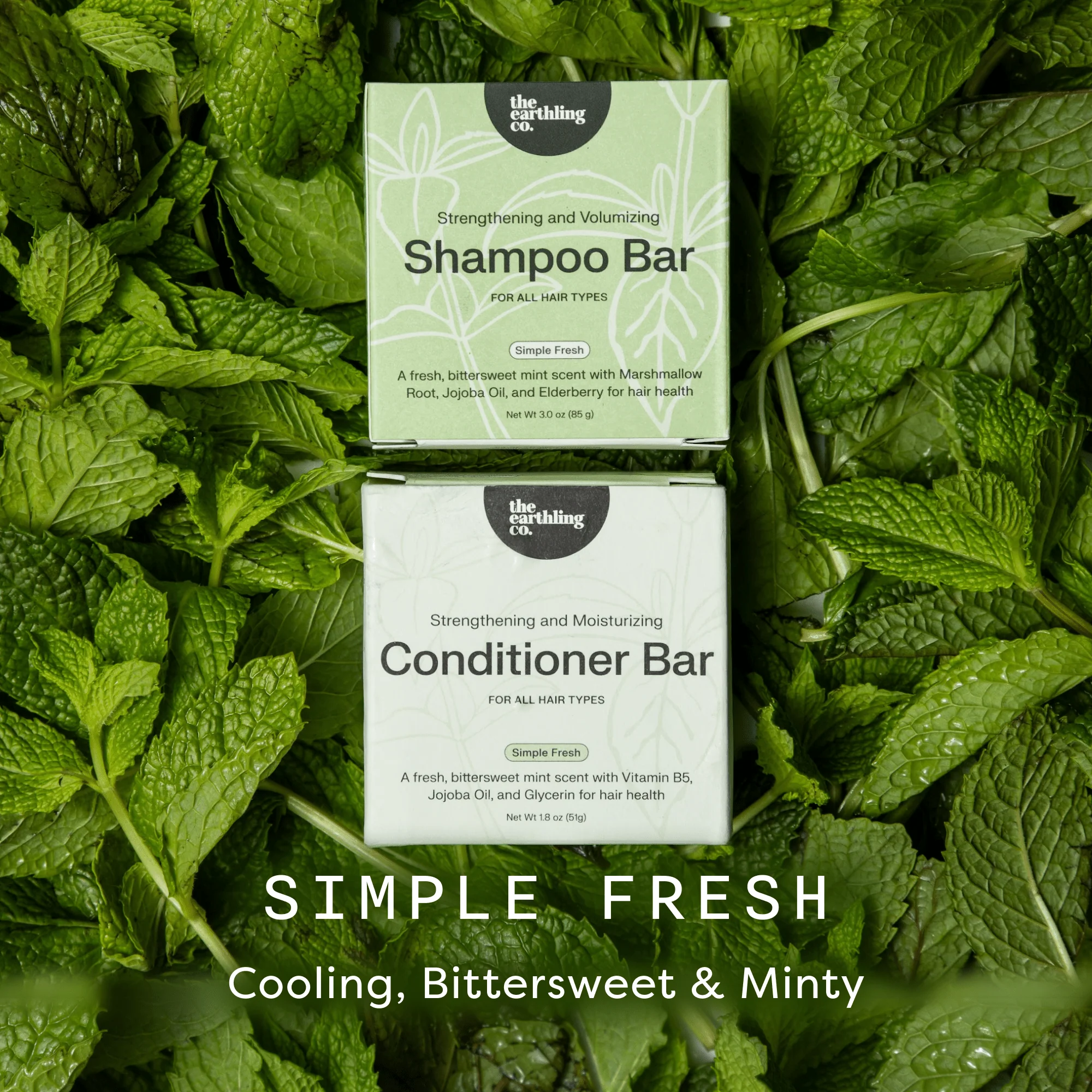 Shampoo and Conditioner for Thickness & Volume - Image 16